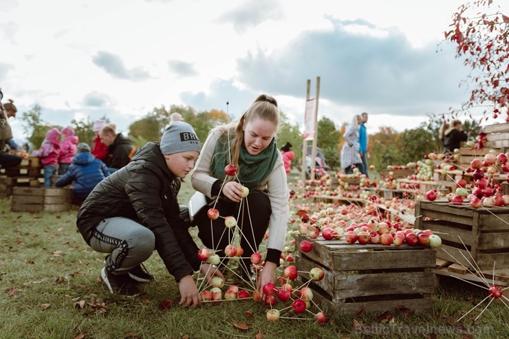 Jau astoto gadu Latvijas sulīgākais festivāls Dobelē pulcē novada un apkārtnes mājražotājus, stādaudzētājus, augļkopjus un interesentus Jau astoto gadu Latvijas sulīgākais festivāls Dobelē pulcē novada un apkārtnes mājražotājus, stādaudzētājus, augļkopjus un interesentus 267725