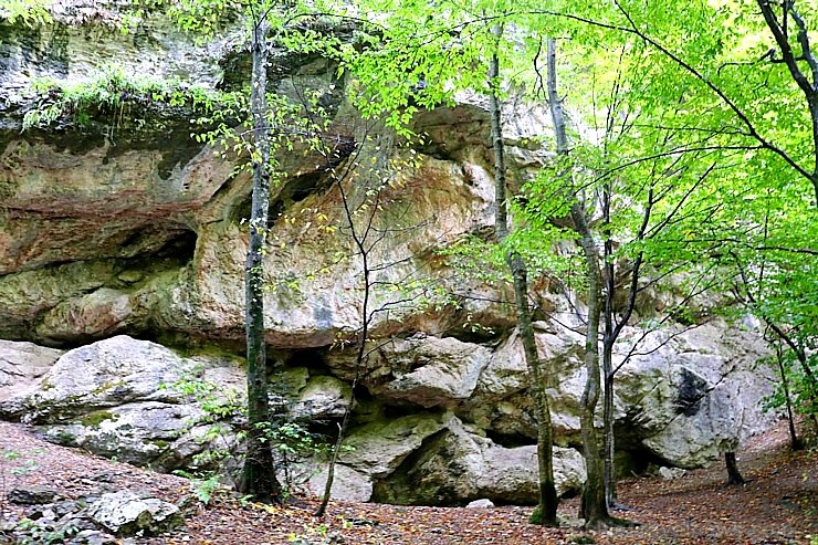 Travelnews.lv apmeklē tūristu iecienīto Čegemas ūdenskritumus Kabarda-Balkārija republikā. Atbalsta: Magtur Travelnews.lv apmeklē tūristu iecienīto Čegemas ūdenskritumus Kabarda-Balkārija republikā. Atbalsta: Magtur 268179