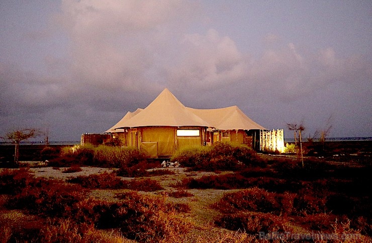 Travelnews.lv nakšņo luksus klases teltī, ko piedāvā «Kingfisher Lodge». Atbalsta: VisitSharjah.com un Novatours.lv Travelnews.lv nakšņo luksus klases teltī, ko piedāvā «Kingfisher Lodge». Atbalsta: VisitSharjah.com un Novatours.lv 270042