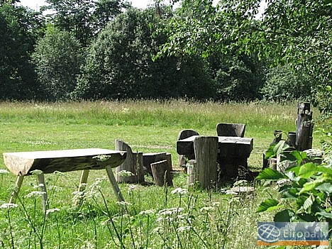 Pļavā iekārtota vieta piknikiem 14719