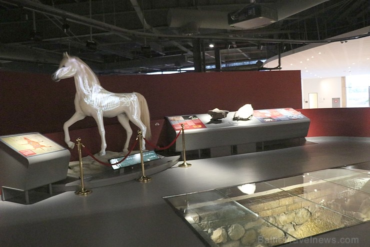 Travelnews.lv apmeklē arheoloģisko centru «Mleiha Archaeological Centre» Malehā. Atbalsta: VisitSharjah.com un Novatours.lv Travelnews.lv apmeklē arheoloģisko centru «Mleiha Archaeological Centre» Malehā. Atbalsta: VisitSharjah.com un Novatours.lv 270637