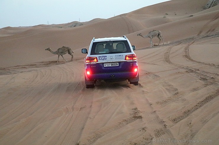 Travelnews.lv iepazīst Šārdžas emirāta tuksneša dzīvi izbraucienā ar apvidus spēkratu, Atbalsta: VisitSharjah.com un Novatours.lv Travelnews.lv iepazīst Šārdžas emirāta tuksneša dzīvi izbraucienā ar apvidus spēkratu, Atbalsta: VisitSharjah.com un Novatours.lv 270821