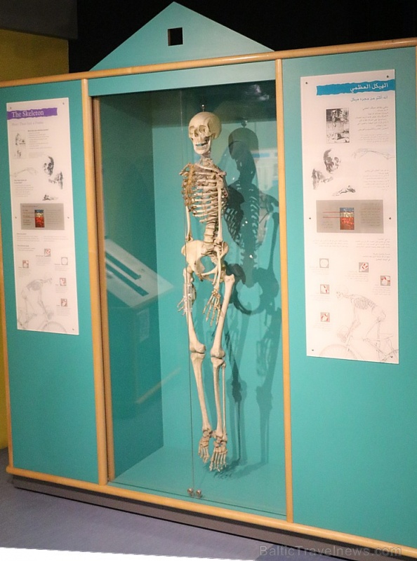 Travelnews.lv apmeklē ļoti atraktīvu un bērniem interesantu «Sharjah Science Museum». Atbalsta: VisitSharjah.com un Novatours.lv Travelnews.lv apmeklē ļoti atraktīvu un bērniem interesantu «Sharjah Science Museum». Atbalsta: VisitSharjah.com un Novatours.lv 271575