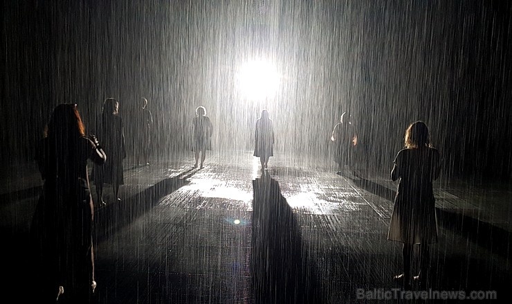 Travelnews.lv izbauda vienreizēju «Sharjah Rain Room» lietus burvību. Atbalsta: VisitSharjah.com un Novatours.lv Travelnews.lv izbauda vienreizēju «Sharjah Rain Room» lietus burvību. Atbalsta: VisitSharjah.com un Novatours.lv 272119