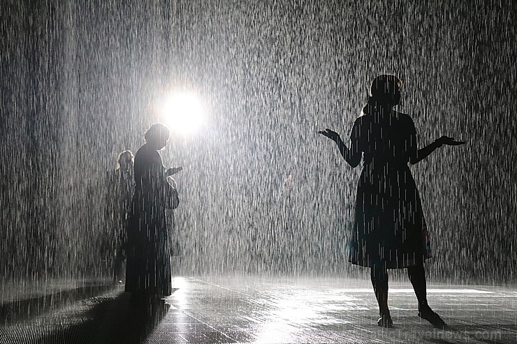 Travelnews.lv izbauda vienreizēju «Sharjah Rain Room» lietus burvību. Atbalsta: VisitSharjah.com un Novatours.lv Travelnews.lv izbauda vienreizēju «Sharjah Rain Room» lietus burvību. Atbalsta: VisitSharjah.com un Novatours.lv 272121