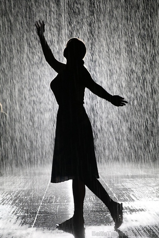 Travelnews.lv izbauda vienreizēju «Sharjah Rain Room» lietus burvību. Atbalsta: VisitSharjah.com un Novatours.lv Travelnews.lv izbauda vienreizēju «Sharjah Rain Room» lietus burvību. Atbalsta: VisitSharjah.com un Novatours.lv 272124