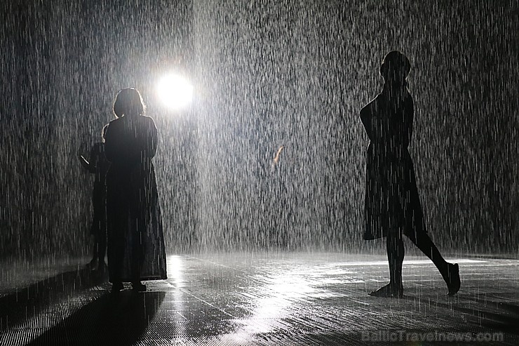 Travelnews.lv izbauda vienreizēju «Sharjah Rain Room» lietus burvību. Atbalsta: VisitSharjah.com un Novatours.lv Travelnews.lv izbauda vienreizēju «Sharjah Rain Room» lietus burvību. Atbalsta: VisitSharjah.com un Novatours.lv 272136