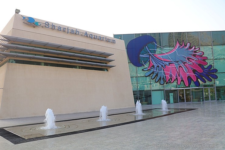 Travelnews.lv apmeklē zemūdens pasauli «Sharjah Aquarium». Atbalsta: VisitSharjah.com un Novatours.lv Travelnews.lv apmeklē zemūdens pasauli «Sharjah Aquarium». Atbalsta: VisitSharjah.com un Novatours.lv 272946