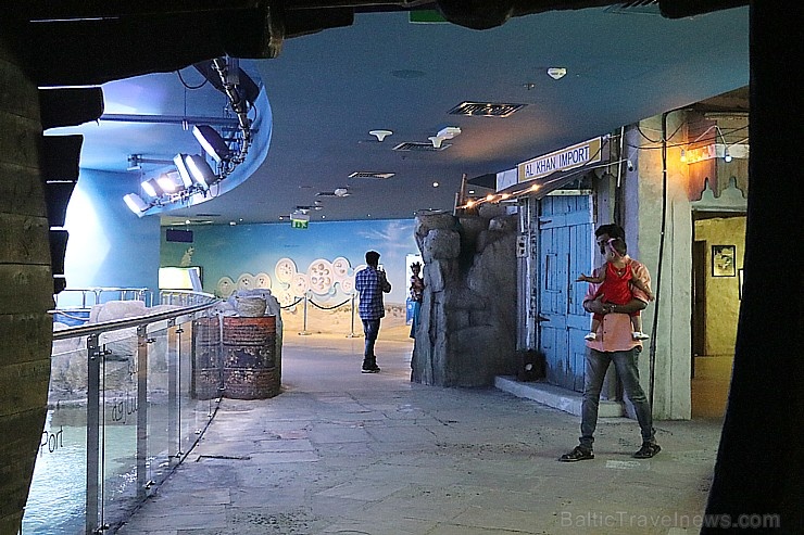 Travelnews.lv apmeklē zemūdens pasauli «Sharjah Aquarium». Atbalsta: VisitSharjah.com un Novatours.lv Travelnews.lv apmeklē zemūdens pasauli «Sharjah Aquarium». Atbalsta: VisitSharjah.com un Novatours.lv 272949