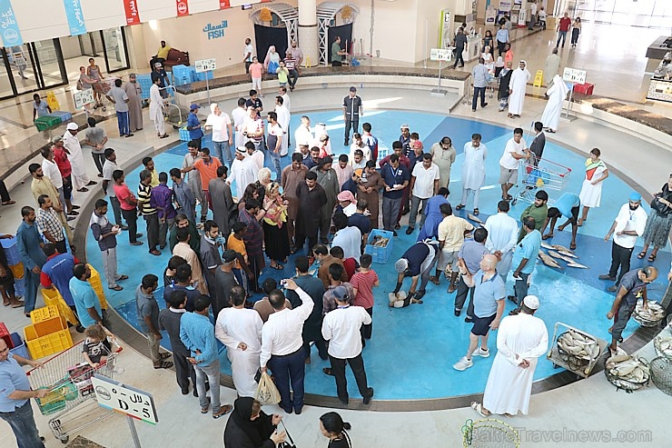 Travelnews.lv apmeklē Šārdžas zivju tirgus izsoli un ekskluzīvi iekļūst ostas zonā. Atbalsta: VisitSharjah.com un Novatours.lv Travelnews.lv apmeklē Šārdžas zivju tirgus izsoli un ekskluzīvi iekļūst ostas zonā. Atbalsta: VisitSharjah.com un Novatours.lv 273209