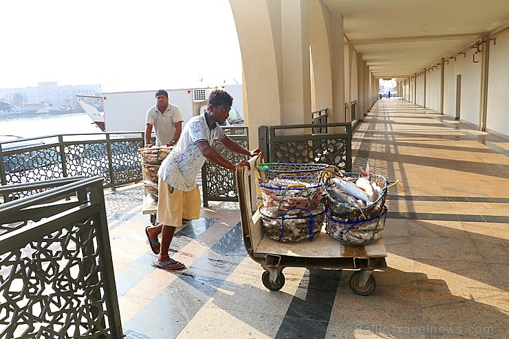 Travelnews.lv apmeklē Šārdžas zivju tirgus izsoli un ekskluzīvi iekļūst ostas zonā. Atbalsta: VisitSharjah.com un Novatours.lv Travelnews.lv apmeklē Šārdžas zivju tirgus izsoli un ekskluzīvi iekļūst ostas zonā. Atbalsta: VisitSharjah.com un Novatours.lv 273236