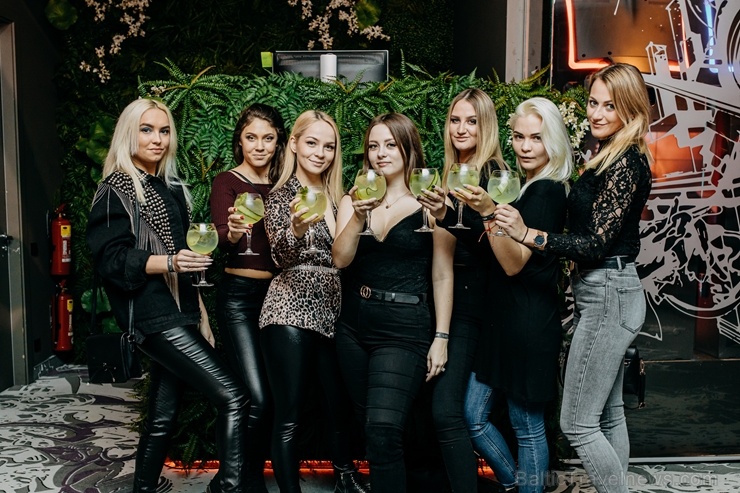 2020. gada 30. janvārī, Rīgā, 2020. gada 30. janvārī, Rīgā,