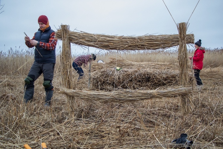 Niedru skulptūru festivāls ik gadu ļauj radoši izpausties un aizraujoši pavadīt laiku svaigā gaisā īpaši aizsargājamā dabas teritorijā Niedru skulptūru festivāls ik gadu ļauj radoši izpausties un aizraujoši pavadīt laiku svaigā gaisā īpaši aizsargājamā dabas teritorijā 276909