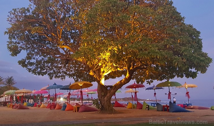 Travelnews.lv iepazīst un nakšņo burvīgā Bali viesnīcā «Ayodya Resort Bali». «Turkish Airlines» un «365 Brīvdienas» Travelnews.lv iepazīst un nakšņo burvīgā Bali viesnīcā «Ayodya Resort Bali». «Turkish Airlines» un «365 Brīvdienas» 277585