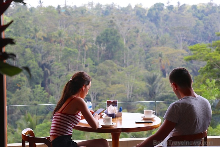 Travelnews.lv iepazīst ainavisku Bali viesnīcu «Padma Resort Ubud». Atbalsta: «Turkish Airlines» un «365 Brīvdienas» Travelnews.lv iepazīst ainavisku Bali viesnīcu «Padma Resort Ubud». Atbalsta: «Turkish Airlines» un «365 Brīvdienas» 279173