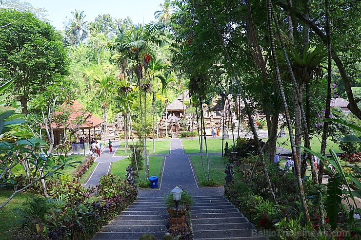 Travelnews.lv apmeklē avotu templi «Pura Gunung Kawi» Bali salā. Atbalsta: «Turkish Airlines» un «365 Brīvdienas» Travelnews.lv apmeklē avotu templi «Pura Gunung Kawi» Bali salā. Atbalsta: «Turkish Airlines» un «365 Brīvdienas» 279228