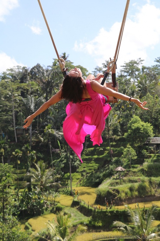 Travelnews.lv izbauda Bali lielās šūpoles «The Natural Terrace Swing». Atbalsta: «Turkish Airlines» un «365 Brīvdienas» Travelnews.lv izbauda Bali lielās šūpoles «The Natural Terrace Swing». Atbalsta: «Turkish Airlines» un «365 Brīvdienas» 279302