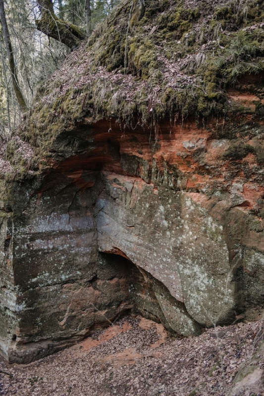 Sigulda ar akciju #satiecsevi aicina doties pastaigās pa mazāk zināmiem maršrutiem 279890
