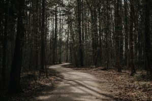 62