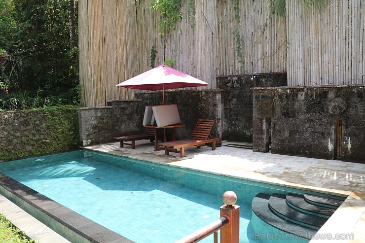 Travelnews.lv iepazīst Bali džungļu viesnīcas «Ayung Resort Ubud» villas. «Turkish Airlines» un «365 Brīvdienas» Travelnews.lv iepazīst Bali džungļu viesnīcas «Ayung Resort Ubud» villas. «Turkish Airlines» un «365 Brīvdienas» 280048