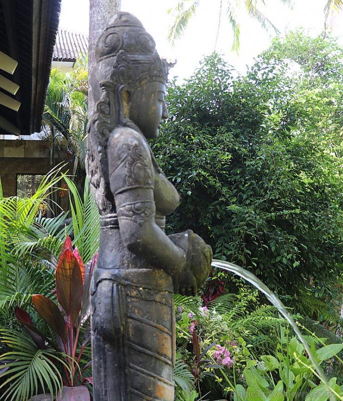 Travelnews.lv iepazīst Bali džungļu viesnīcas «Ayung Resort Ubud» villas. «Turkish Airlines» un «365 Brīvdienas» Travelnews.lv iepazīst Bali džungļu viesnīcas «Ayung Resort Ubud» villas. «Turkish Airlines» un «365 Brīvdienas» 280083