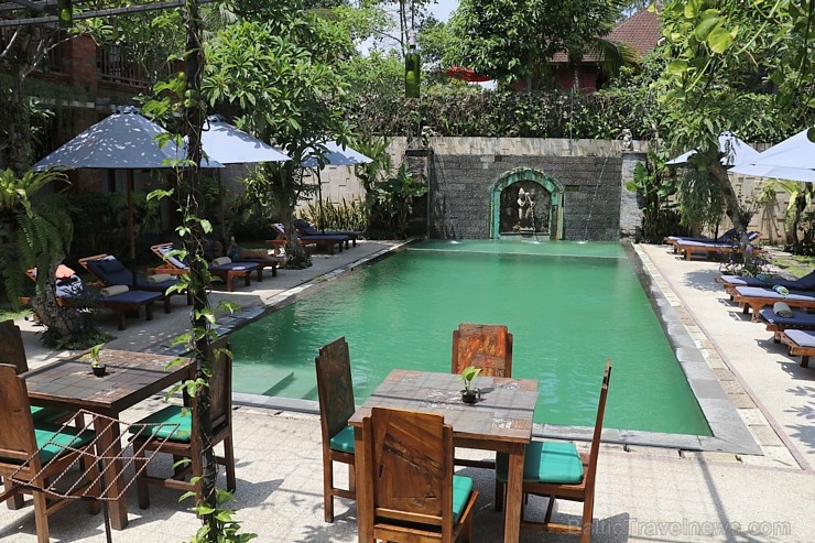 Travelnews.lv iepazīst vienkāršas, bet mājīgas un viesmīlīgas Bali salas viesnīcas. «Turkish Airlines» un «365 Brīvdienas» Travelnews.lv iepazīst vienkāršas, bet mājīgas un viesmīlīgas Bali salas viesnīcas. «Turkish Airlines» un «365 Brīvdienas» 280089