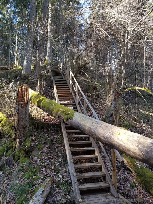 Staigājot pa taku, ir iespējams aplūkot augu, sūnu, ķērpju un kukaiņu daudzveidību, dižkokus, Jāņupītes stāvkrastu, kā arī novērtēt 2005. gada orkāna Staigājot pa taku, ir iespējams aplūkot augu, sūnu, ķērpju un kukaiņu daudzveidību, dižkokus, Jāņupītes stāvkrastu, kā arī novērtēt 2005. gada orkāna 280154
