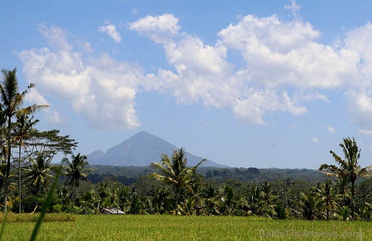 Travelnews.lv piedāvā fotomirkļus no Bali ielas satiksmes dzīves. «Turkish Airlines» un «365 Brīvdienas» Travelnews.lv piedāvā fotomirkļus no Bali ielas satiksmes dzīves. «Turkish Airlines» un «365 Brīvdienas» 280338