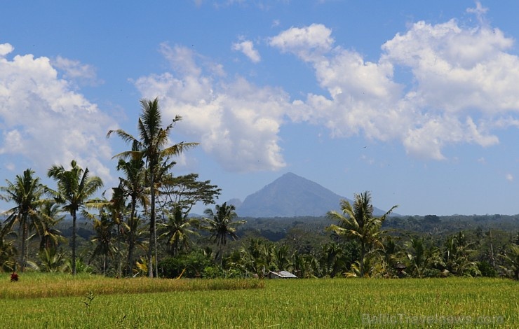 Travelnews.lv piedāvā fotomirkļus no Bali salas apceļošanas. «Turkish Airlines» un «365 Brīvdienas» Travelnews.lv piedāvā fotomirkļus no Bali salas apceļošanas. «Turkish Airlines» un «365 Brīvdienas» 280946