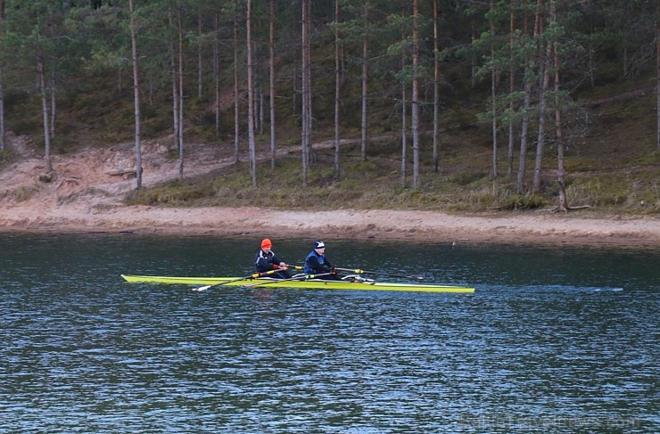 Pavasara pumpuri un ziedi iekrīt Travelnews.lv fotoobjektīvā 280979