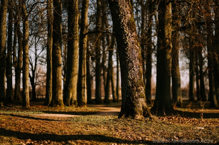 Parks atrodas līdzās Valmiermuižas alus darītavai un rūpi par tā apdzīvošanu un kultūrvēsturiskās vides saglabāšanu un atjaunošanu tur Parks atrodas līdzās Valmiermuižas alus darītavai un rūpi par tā apdzīvošanu un kultūrvēsturiskās vides saglabāšanu un atjaunošanu tur