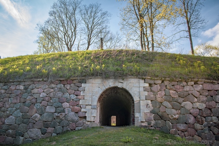 links: Daugavpils cietoksni ieskauj pavasara ziedonis 281878