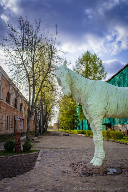 links: Daugavpils cietoksni ieskauj pavasara ziedonis 281891