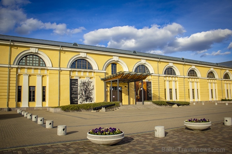 links: Daugavpils cietoksni ieskauj pavasara ziedonis 281893
