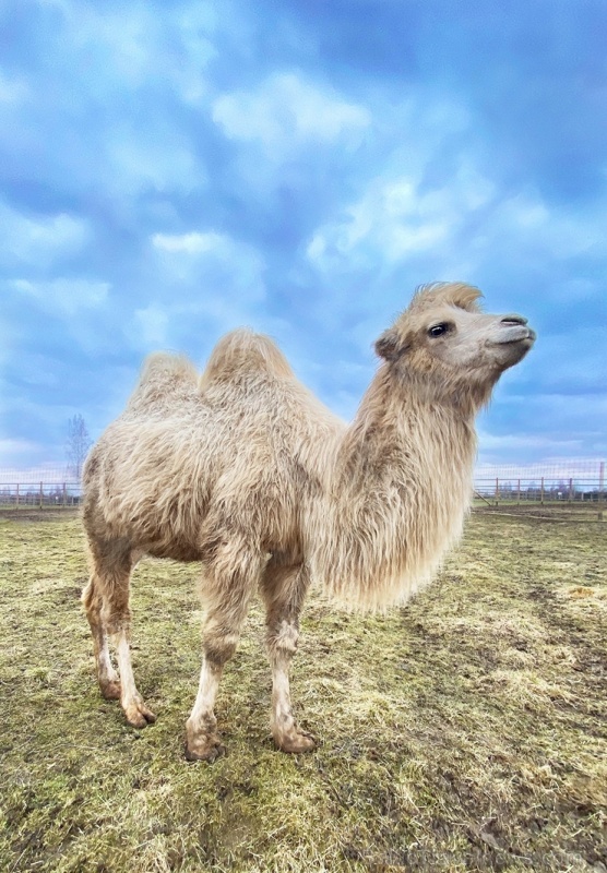 Latgales zoodārzos var apskatīt daudzveidīgo dzīvnieku pasauli 282839