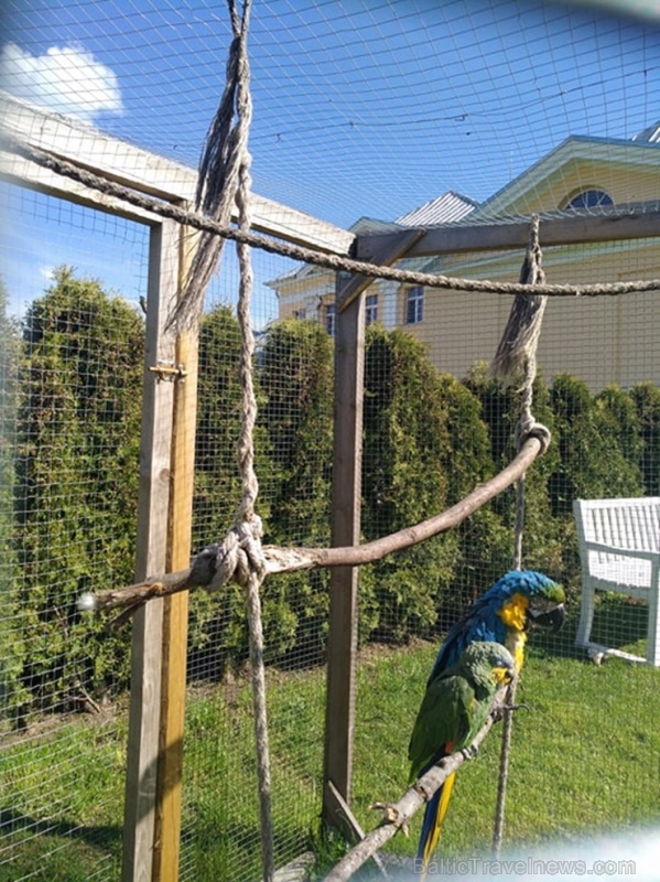 Bruknas muiža ieskauta krāšņos pavasara ziedos 283454