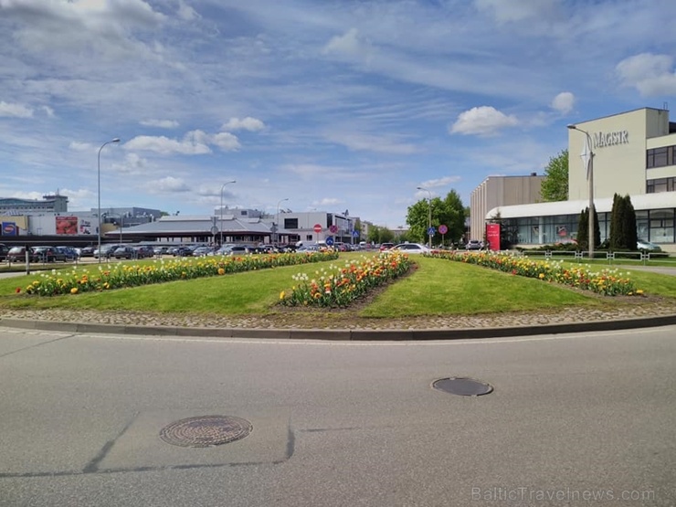 Daugavpilī sākusies silta un saulaina vasara - siltais gadalaiks jūtams gan dabā, gan tūrisma objektu noskaņojumā Daugavpilī sākusies silta un saulaina vasara - siltais gadalaiks jūtams gan dabā, gan tūrisma objektu noskaņojumā 283934
