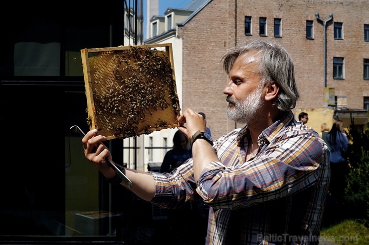 Veicinot zaļās domāšanas un ekoloģisko projektu attīstību pilsētā, uz Rīgas rātsnama 3. stāva āra terases izvietoti trīs bišu stropi Veicinot zaļās domāšanas un ekoloģisko projektu attīstību pilsētā, uz Rīgas rātsnama 3. stāva āra terases izvietoti trīs bišu stropi 284599