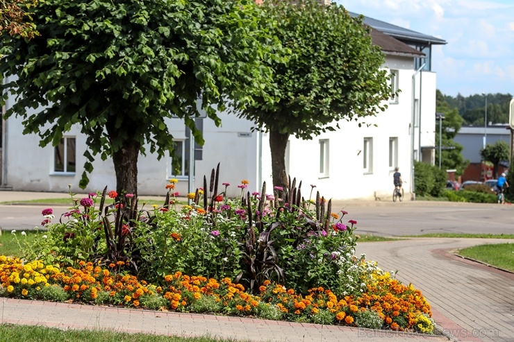 Krāšņie ziedi izdaiļo  Madonu un paspilgtina tās skaistumu 287146