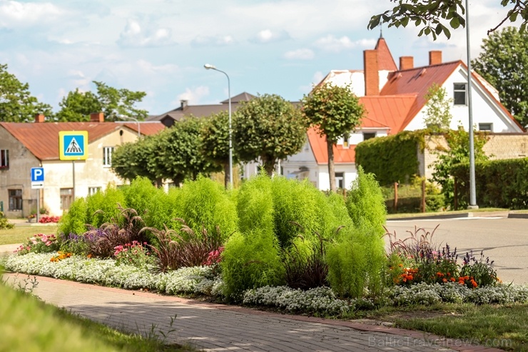 Krāšņie ziedi izdaiļo  Madonu un paspilgtina tās skaistumu 287152