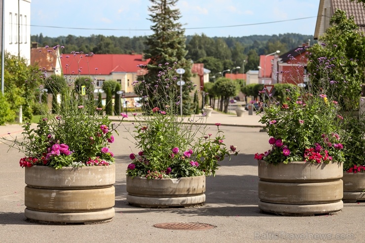 Krāšņie ziedi izdaiļo  Madonu un paspilgtina tās skaistumu 287157
