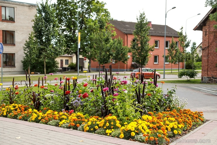 Krāšņie ziedi izdaiļo  Madonu un paspilgtina tās skaistumu 287174