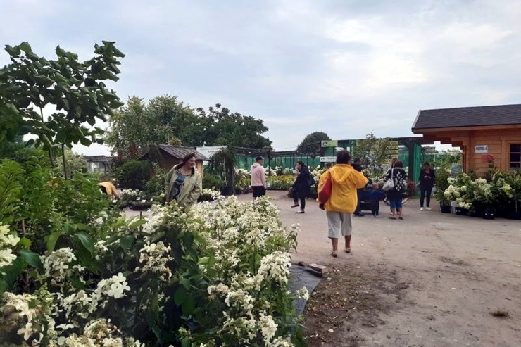 «Atvērtās dienas laukos», ko organizē lauku tūrisma asociācija Lauku ceļotājs ir lauku apceļošanas un iepazīšanas pasākums, kas jau kļuvis par tradīci «Atvērtās dienas laukos», ko organizē lauku tūrisma asociācija Lauku ceļotājs ir lauku apceļošanas un iepazīšanas pasākums, kas jau kļuvis par tradīci 289537