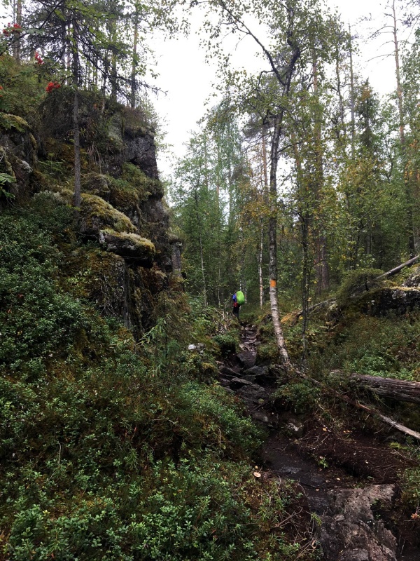 Kopā ar @suuntopulksteni.lv un @kidshike Travelnews.lv pieveic 102km populārākajā Somijas garo pārgājienu takā - Karhunkierros Kopā ar @suuntopulksteni.lv un @kidshike Travelnews.lv pieveic 102km populārākajā Somijas garo pārgājienu takā - Karhunkierros 291253