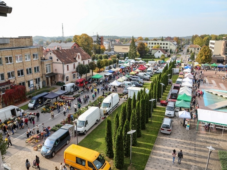 Madona svin kartupeļu svētkus 291866