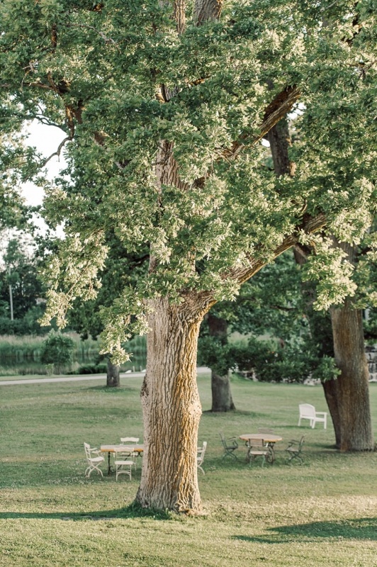 «Rankas muiža» ietērpusies košās rudens krāsās. Foto: Kristīne Grīnvalde 292466