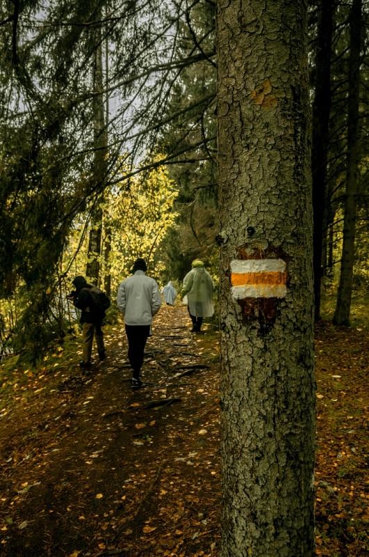 Kopējais Mežtakas garums būs aptuveni 2100 km, kas noejami 98 līdz 112 dienās 292984