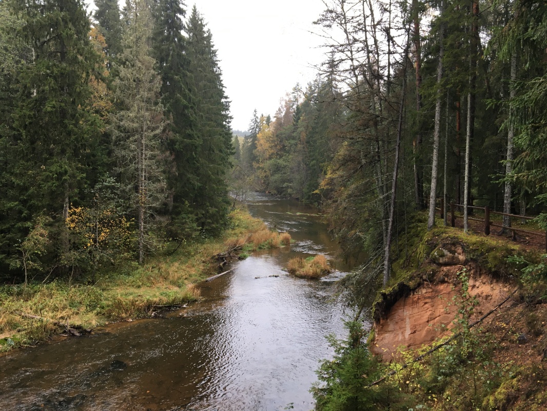 Mežtakas augstākā vieta (~ 256 m vjl.) atrodas Lielā Munameģa piekājē. Otra augstākā vieta ir Drusku pilskalns (246 m vjl.). Lielais Munameģis (318 m Mežtakas augstākā vieta (~ 256 m vjl.) atrodas Lielā Munameģa piekājē. Otra augstākā vieta ir Drusku pilskalns (246 m vjl.). Lielais Munameģis (318 m 293223
