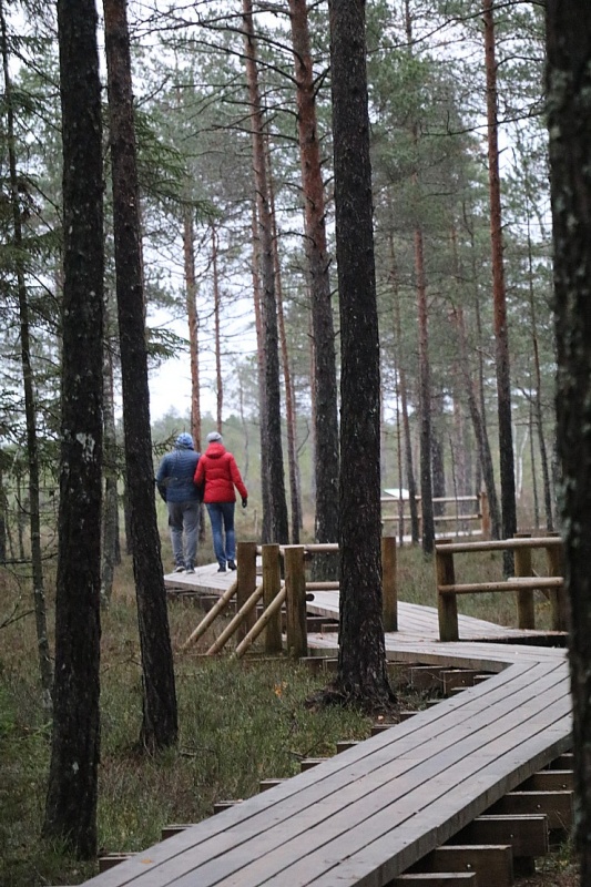 Travelnews.lv iepazīst jauno «Lielo Kangaru» taku 293426