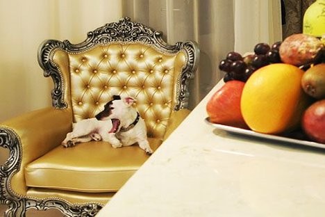 Boutique Hotel MaMa